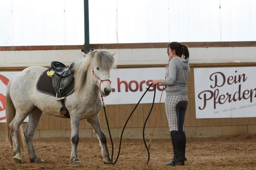 Organisierst Du Pferdekurse?