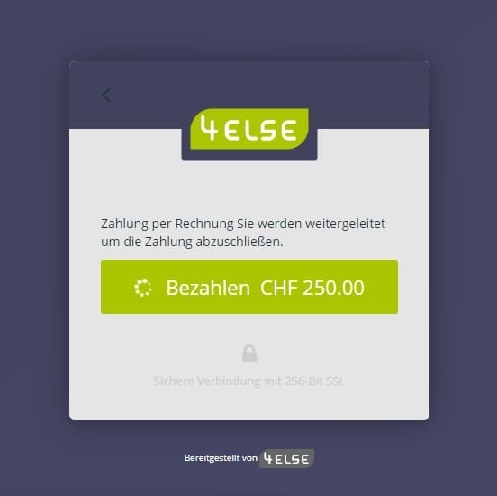 Der Zahlungsprozess findet statt