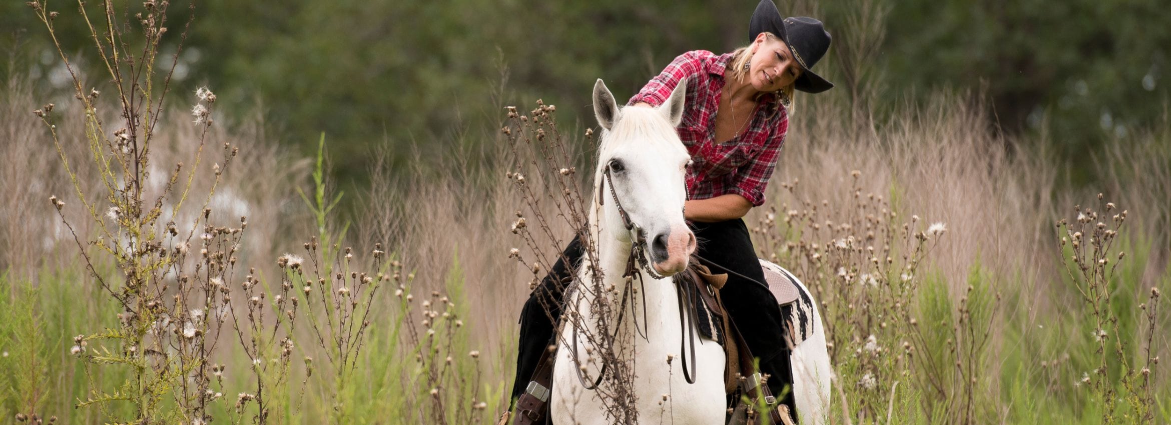 Kurse auf passion.4my.horse